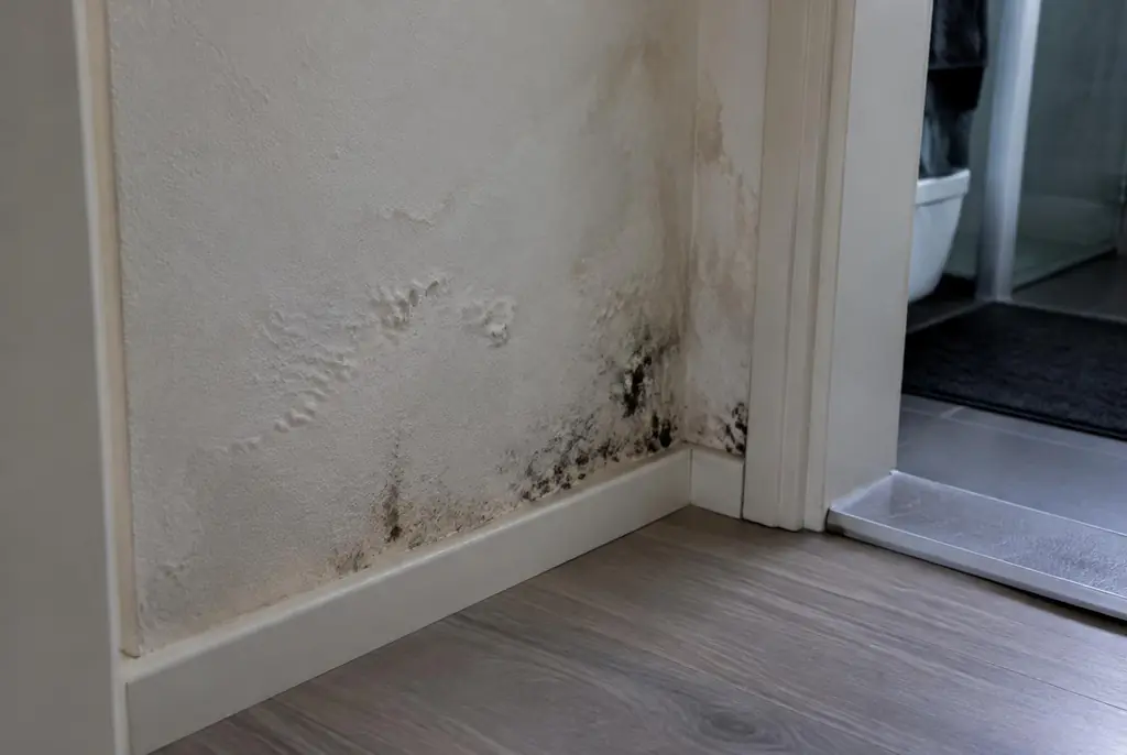 Lekdetectie Abcoude – vochtplek met schimmel op een muur